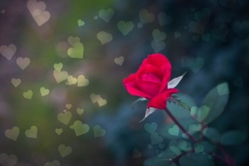 Consejos para acertar con el envío de flores en San Valentín