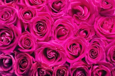 Flores a domicilio: ventajas de este servicio contratado online