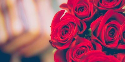 Rosas rojas, la simbología del número de rosas que lleva un ramo