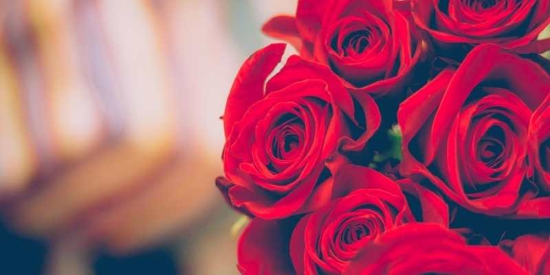 Rosas rojas, la simbología del número de rosas que lleva un ramo