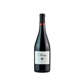 Finca Azaya- 2017