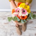 Bouquet Gerberas