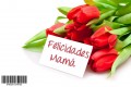 Felicidades Mama 4