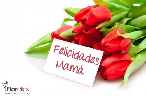 Felicidades Mama 4