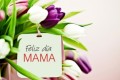 Feliz día mamá 