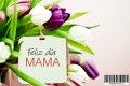 Feliz día mamá 