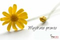 Mejórate Pronto flor 21