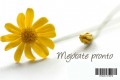 Mejórate Pronto flor 21