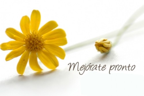 Mejórate Pronto flor 21