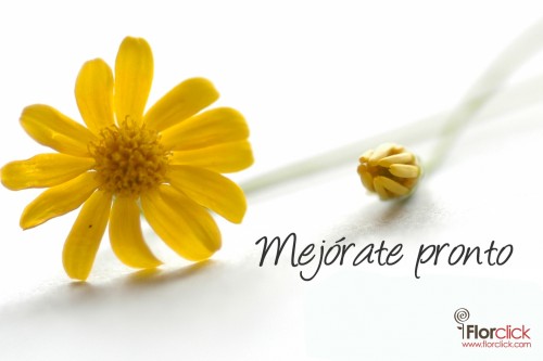 Mejórate Pronto flor 21