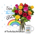 PACK Todo va a salir bien 12 rosas variadas + Taza