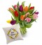 Pack Tulipanes Única