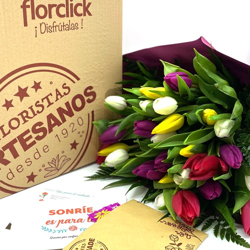 Comprar flores online. Ramo de flores para envio a domicilio. Portes gratis  desde 25 euros.