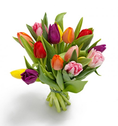  Envía a domicilio ramos de tulipanes. Flores a domicilio en la floristería online Florclick.com