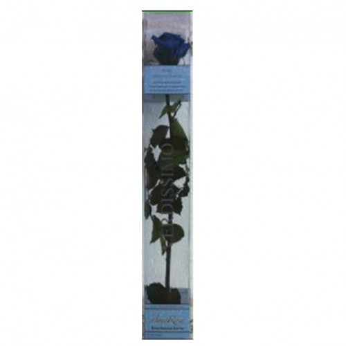 Rosa Eterna Azul 50 cm