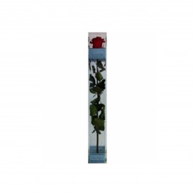 Rosa Eterna roja de 25cm.