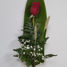 Rosa San Valentín 