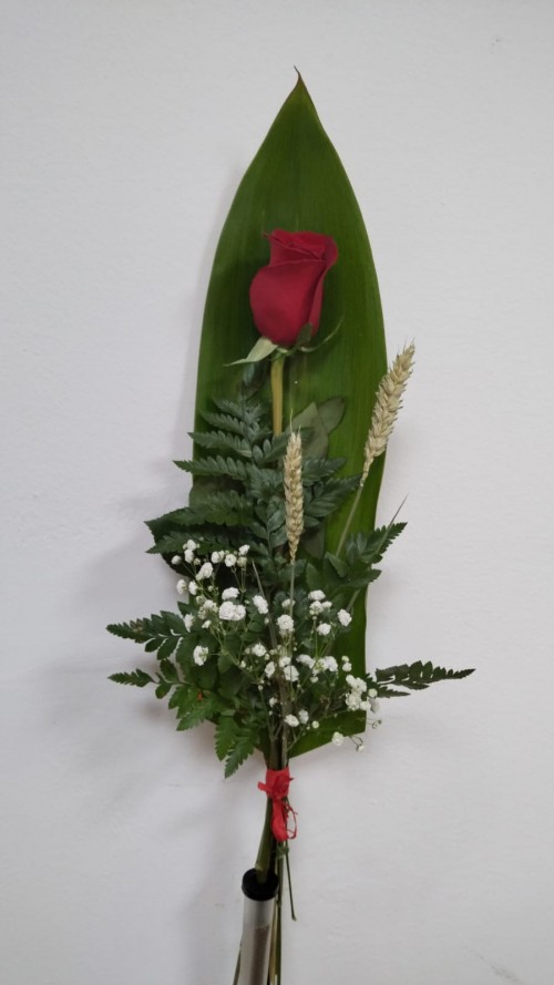 Rosa Sant Jordi  