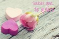 Sabes que te quiero rosa  9