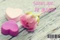 Sabes que te quiero rosa  9