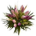 15 Tulipanes Morado