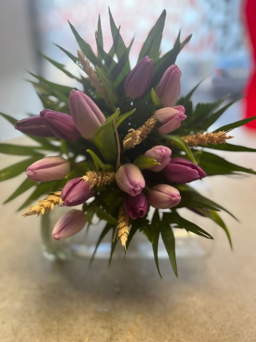 15 Tulipanes Morado