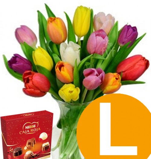 tulipanes -L-  + caja roja 45g 